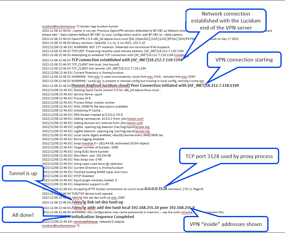 lucidum_tunnel_logs2.png